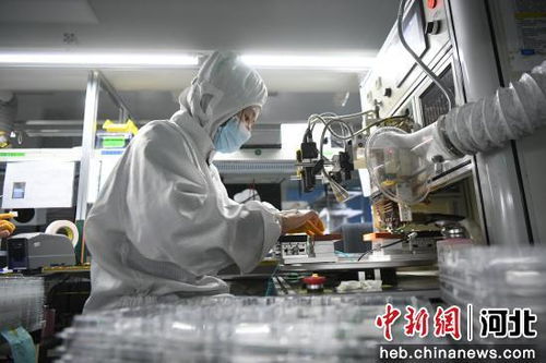 河北廊坊 優(yōu)化營商生態(tài)圈促進電子信息產(chǎn)業(yè)高地加速崛起