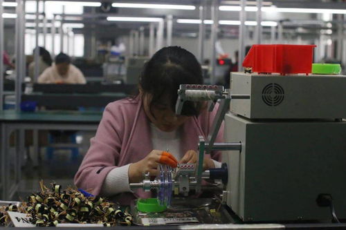 王宏兵赴武功縣調(diào)研督導(dǎo)“止滑促升、決戰(zhàn)收官”工作 助力電子材料生產(chǎn)發(fā)展